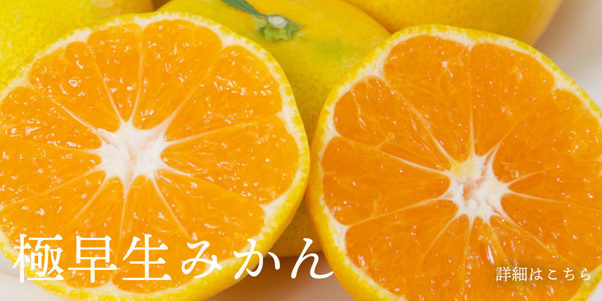 ☘️ 専用★みかん様　☘️☘️ ※画像1〜7 みかんの花（旅する久世福e商店） | トップページ